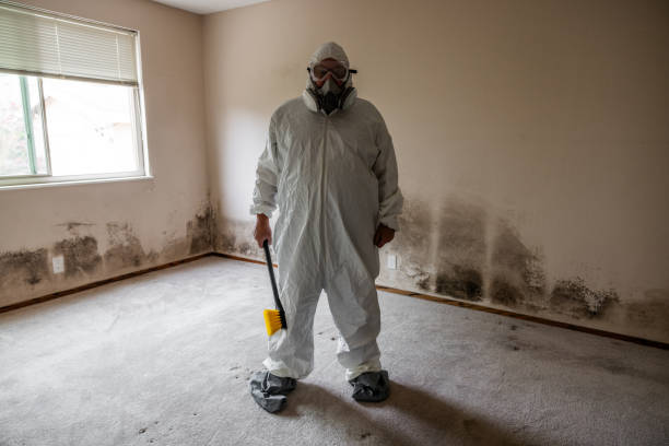 Best Attic Mold Removal  in Columbia, MO